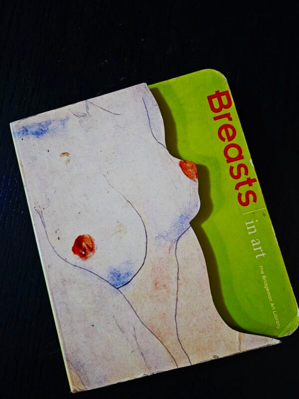 Breasts in Art - Libro en Español
