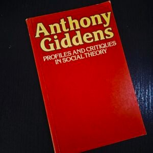 Anthony Giddens: Profiles and Critiques in Social Theory