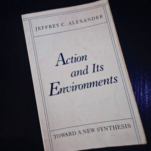 Action and IT Environments by Jeffrey C. Alexander