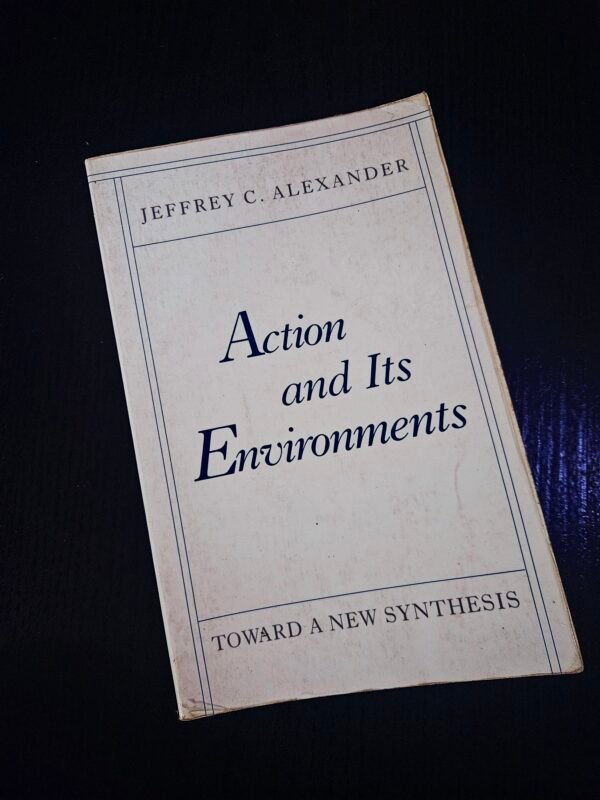 Action and IT Environments by Jeffrey C. Alexander