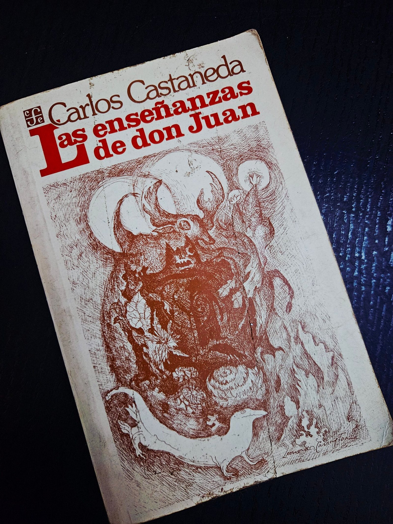 Las enseñanzas de Don Juan por Carlos Castañeda