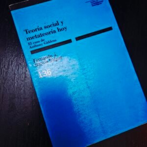 Teoría social y metateoría hoy