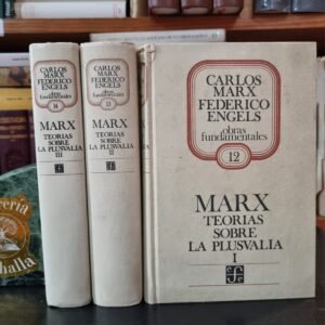 Teorías sobre la plusvalía I