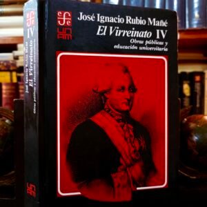 El Virreinato IV