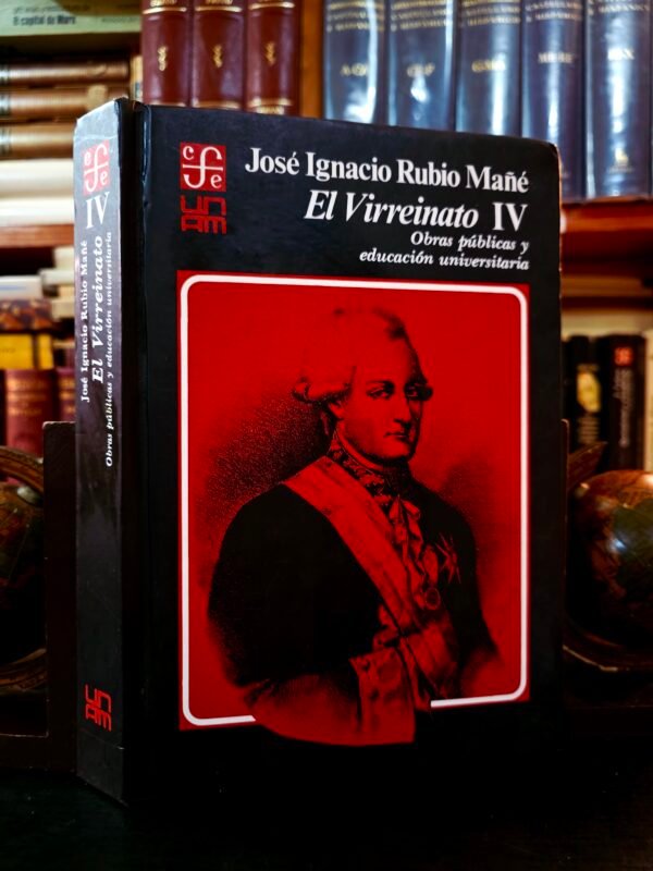 El Virreinato IV