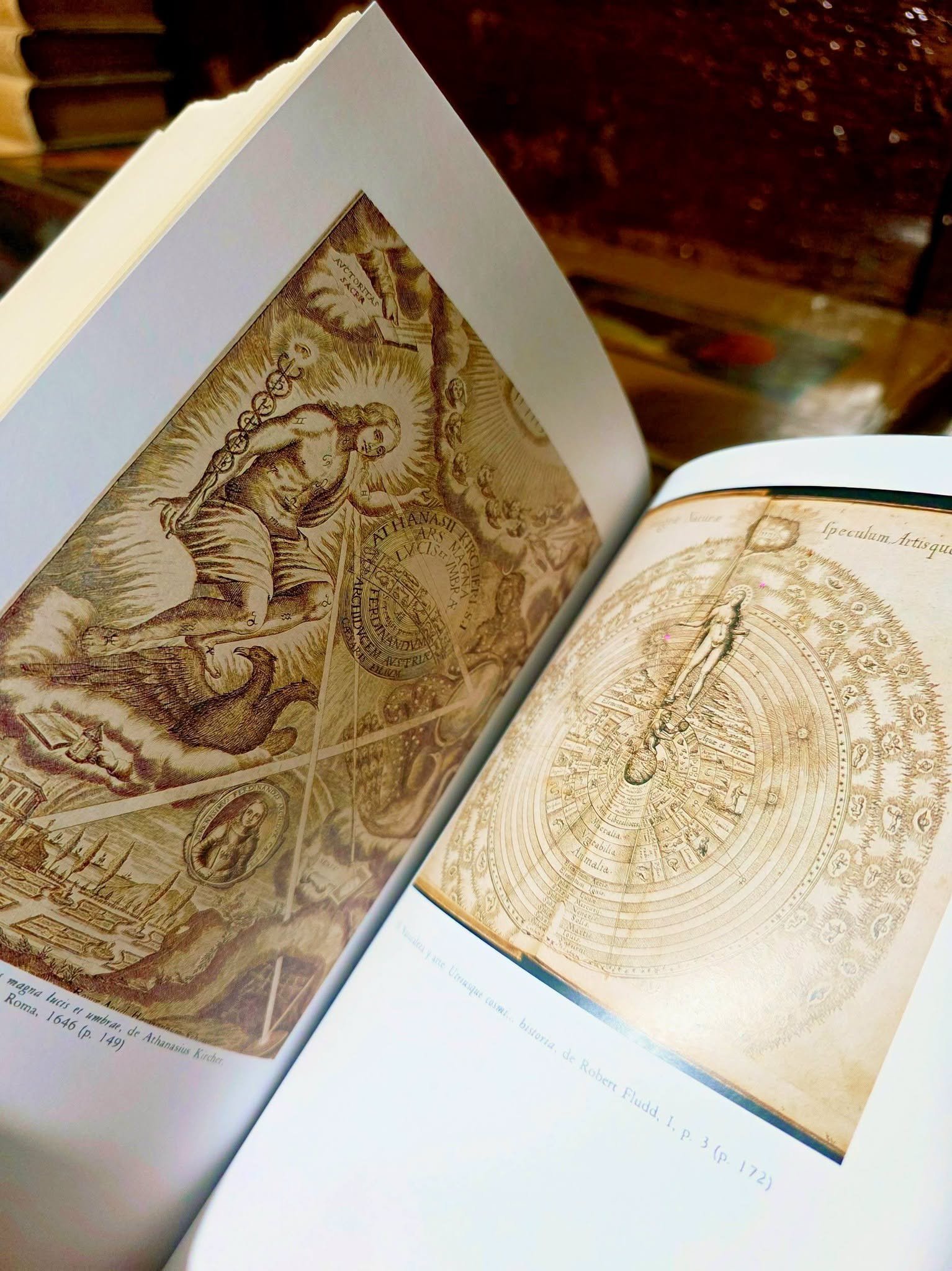 Giordano Bruno y la tradición Hermética, Frances A Yates - Image 2