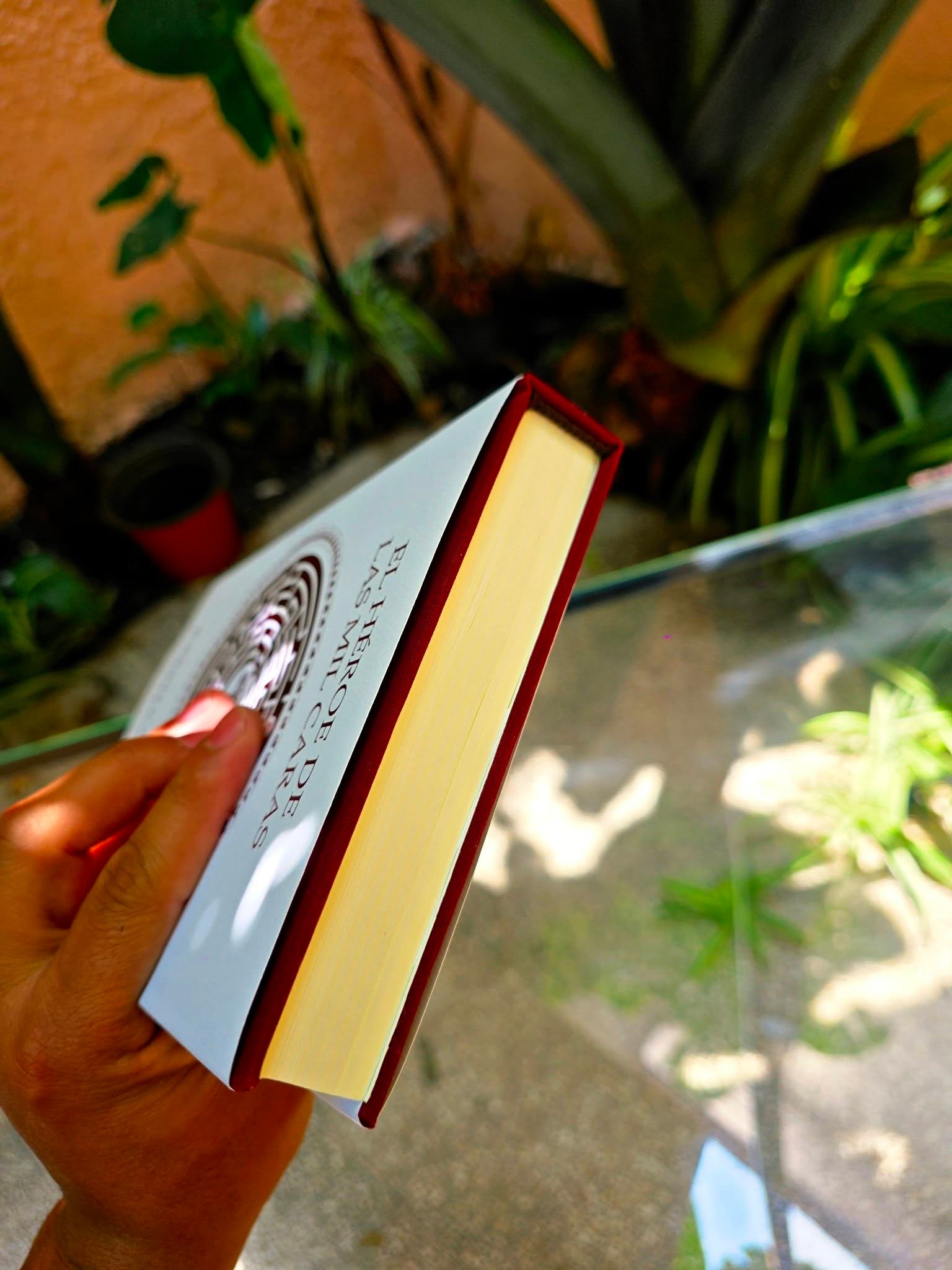 El héroe de las mil caras, Joseph Campbell, FCE - Image 10
