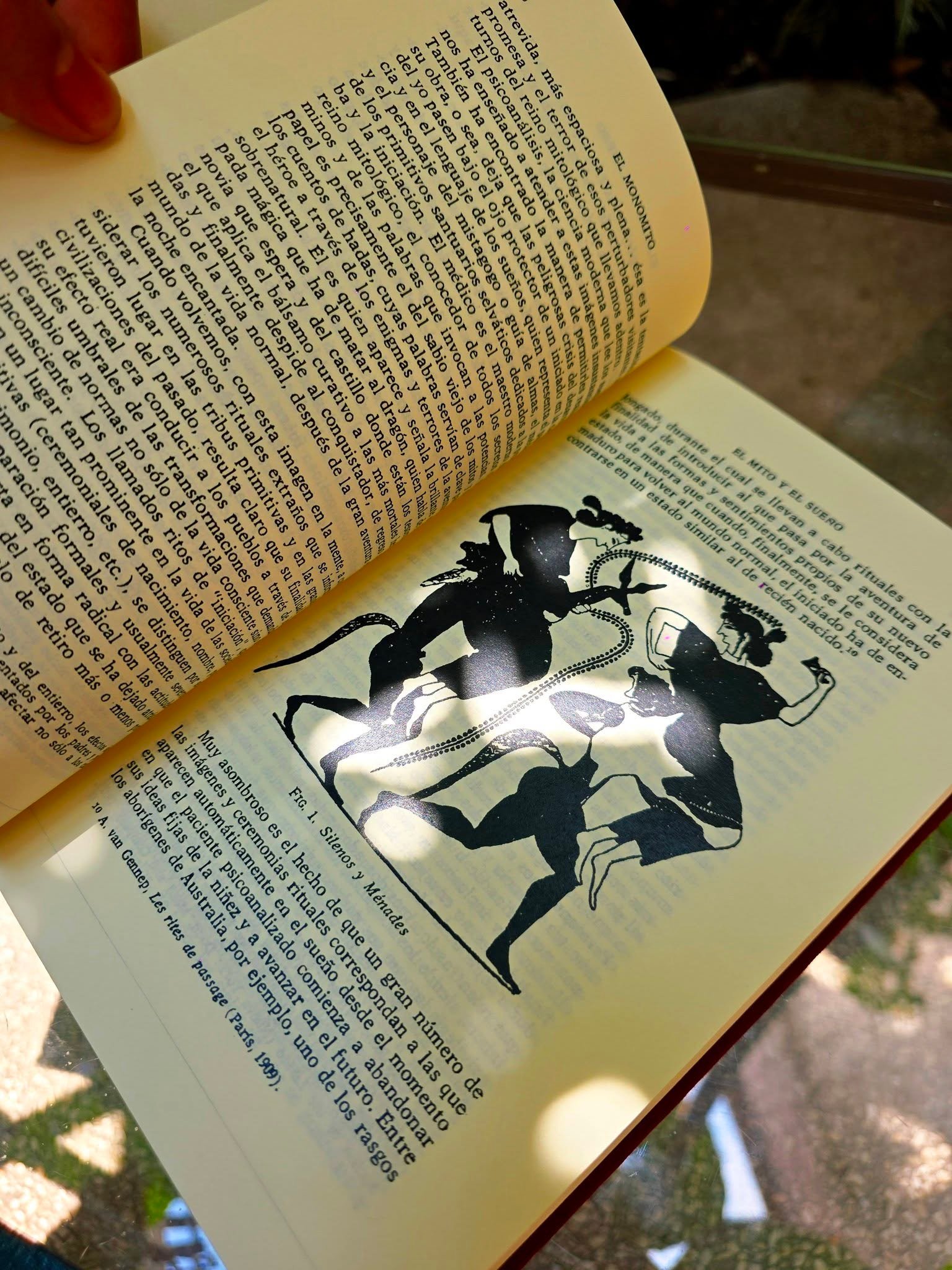 El héroe de las mil caras, Joseph Campbell, FCE - Image 7