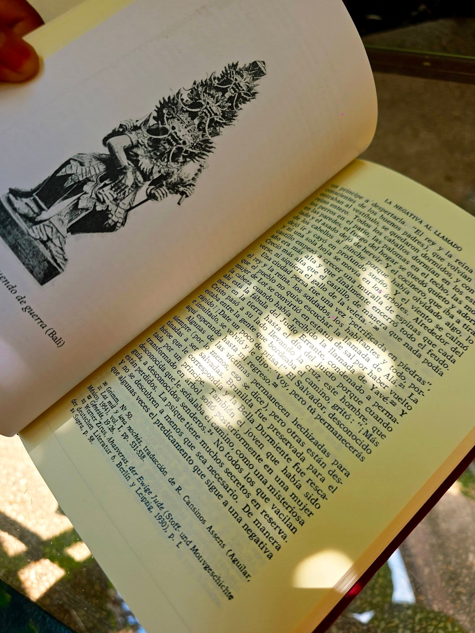 El héroe de las mil caras, Joseph Campbell, FCE - Image 6