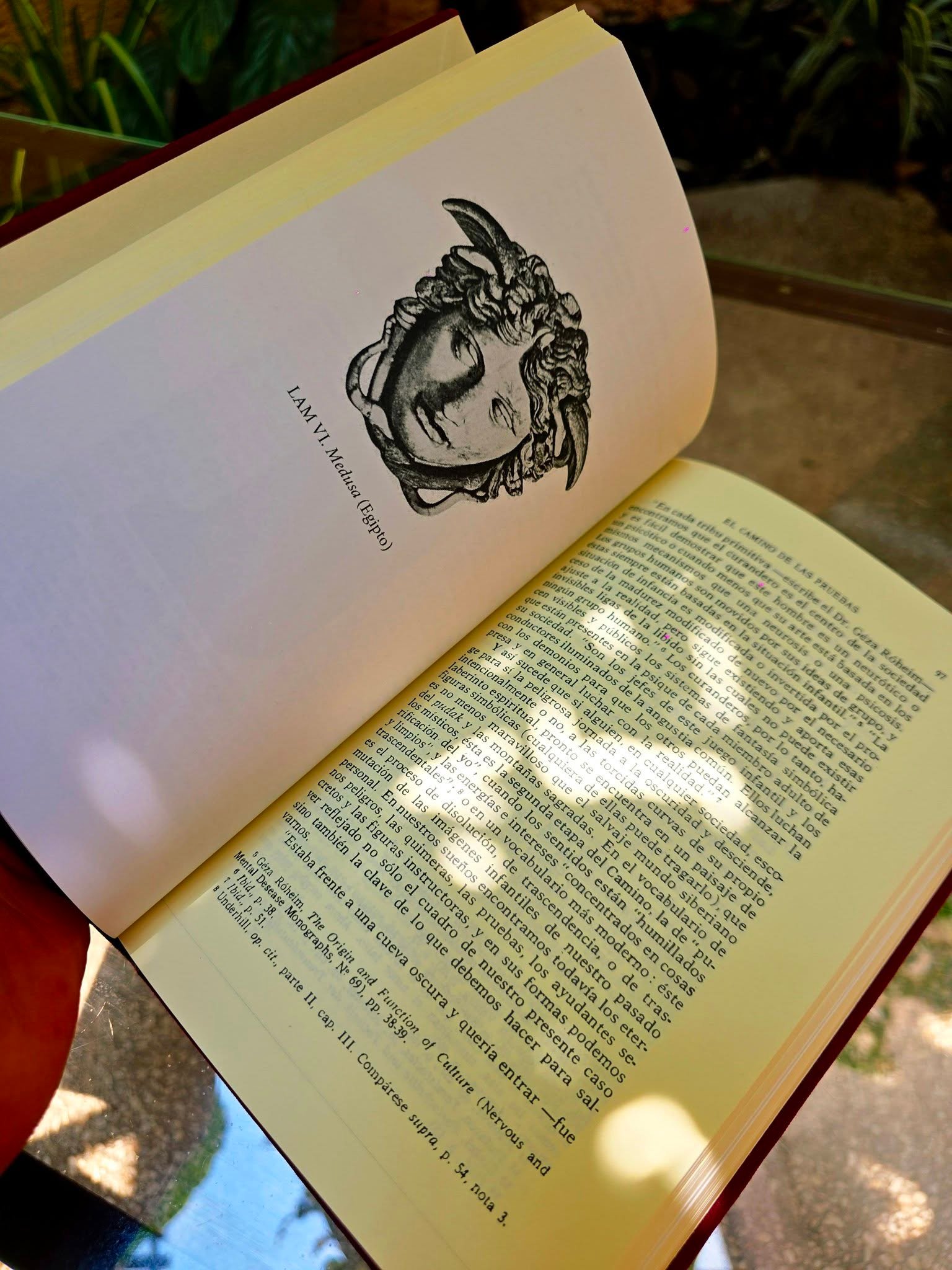El héroe de las mil caras, Joseph Campbell, FCE - Image 5