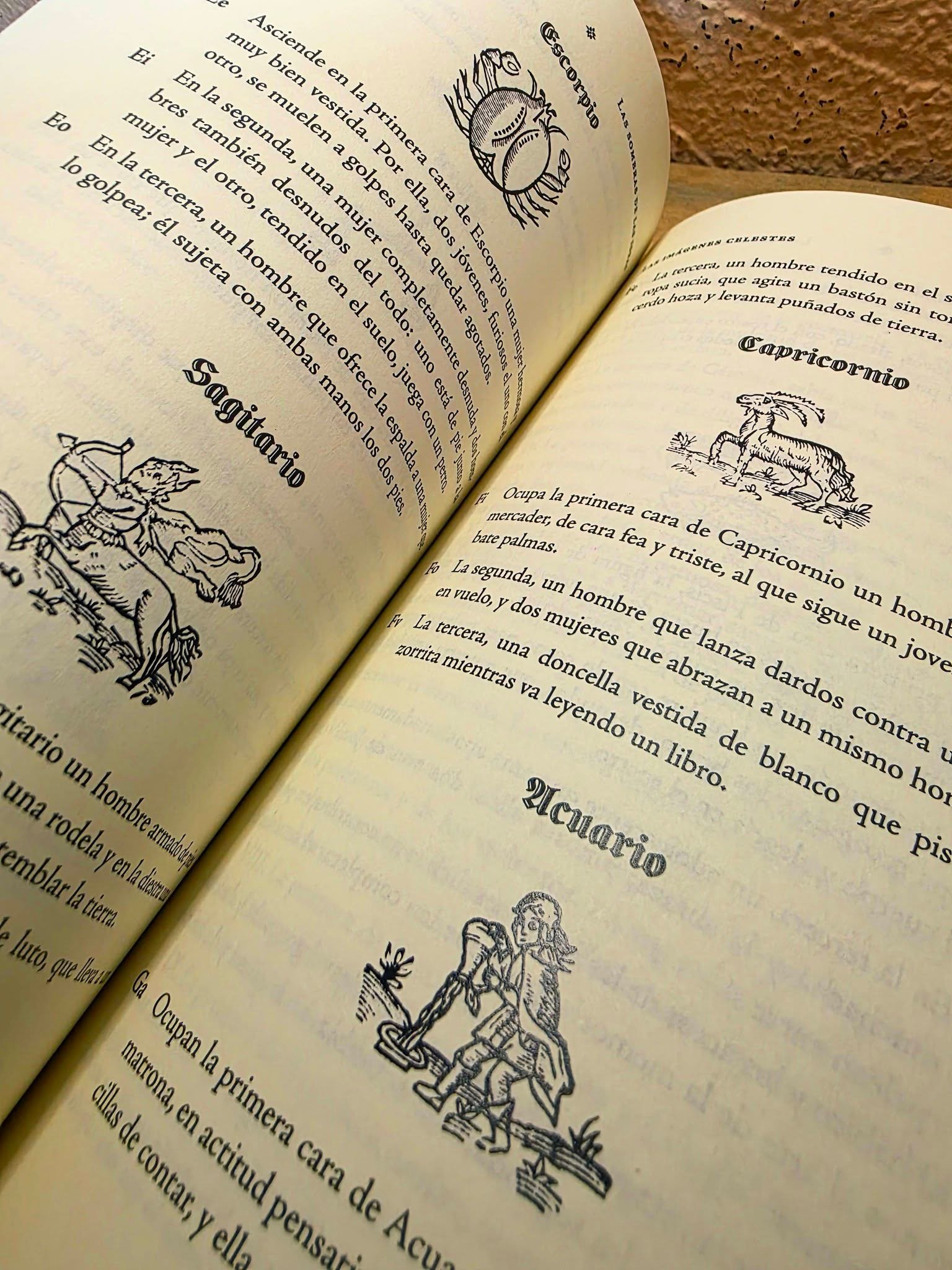 Grabados de Escorpio, Sagitario, Capricornio y Acuario en el capítulo de las imágenes celestes de Giordano Bruno